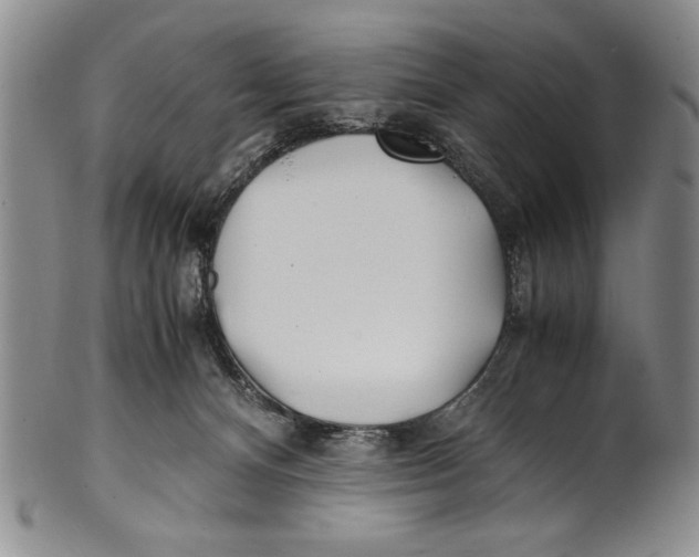 X0000100760128200807171350