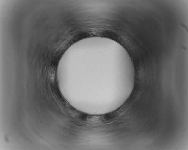 X0000100760129200807171350