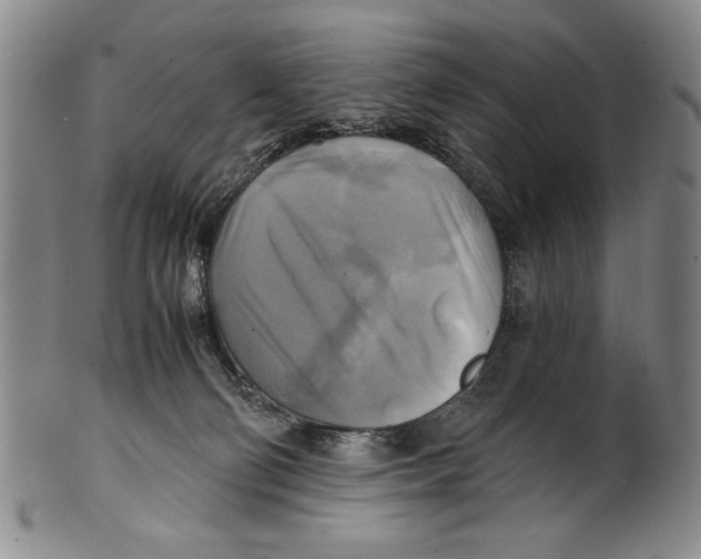 X0000100760130200807171350