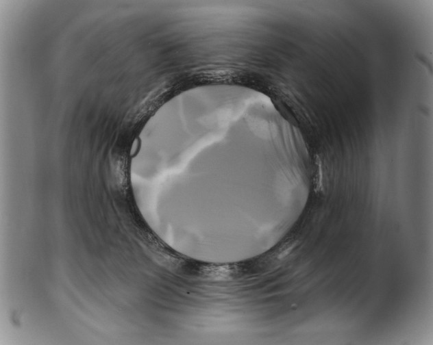 X0000100760131200807171350