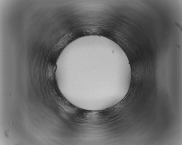 X0000100760132200807171350