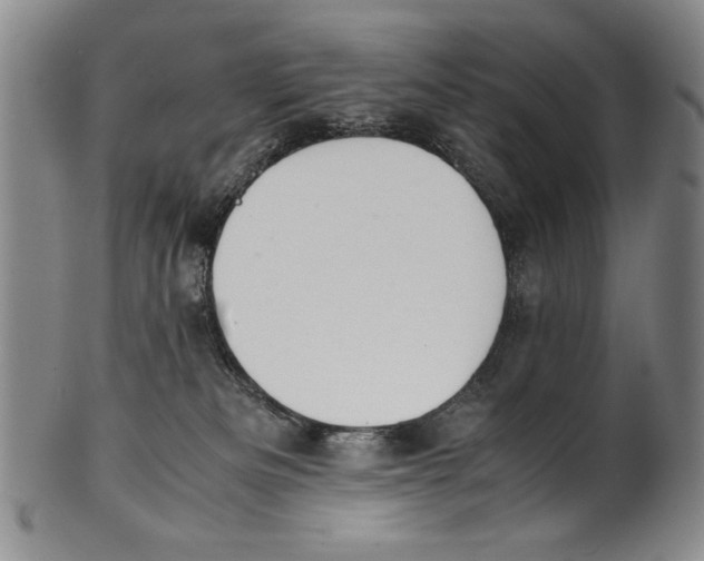 X0000100760133200807171350