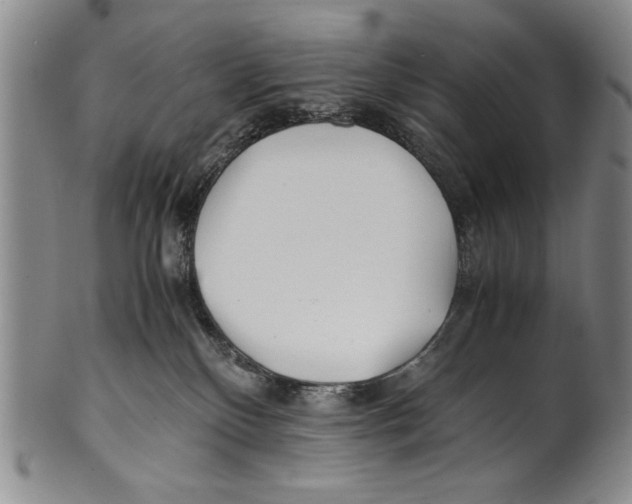 X0000100760136200807171350
