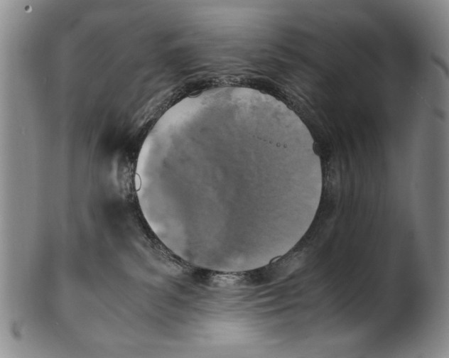 X0000100760139200807171350