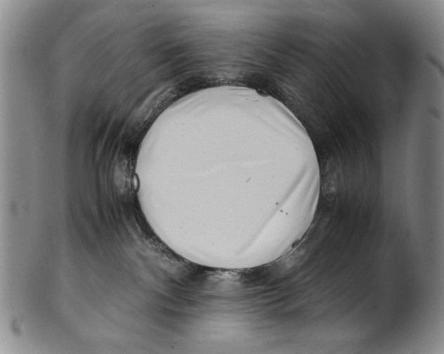 X0000100760140200807171350