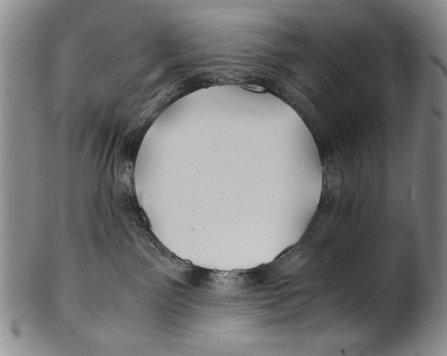 X0000100760141200807171350
