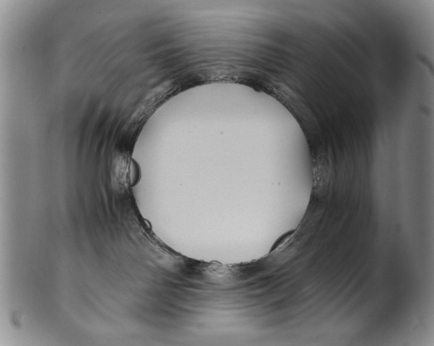 X0000100760142200807171350