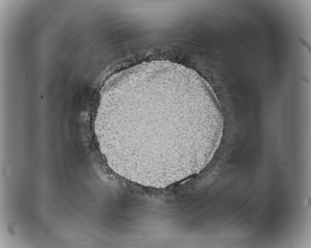 X0000100760144200807171350