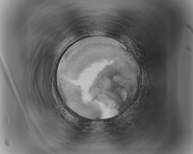 X0000100760145200807171349