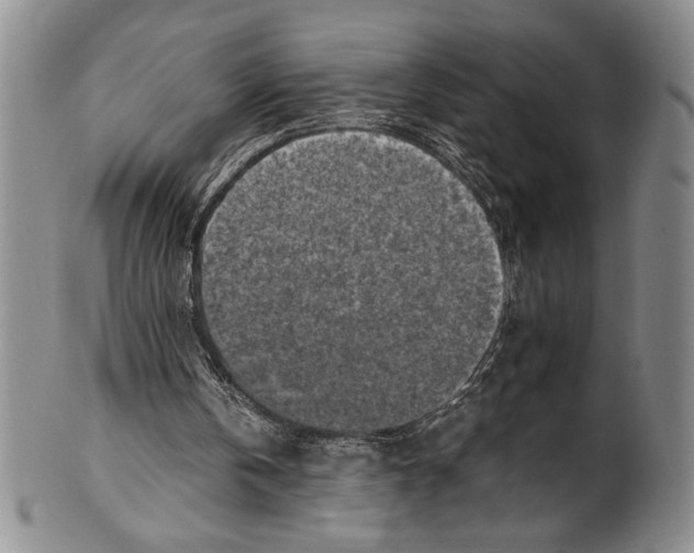 X0000100760146200807171349