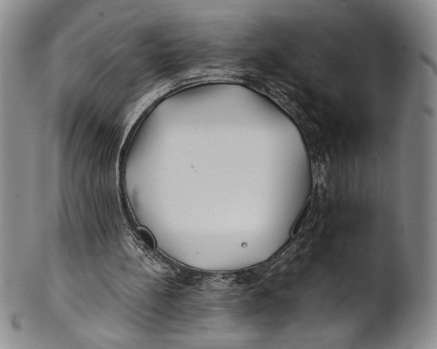 X0000100760148200807171350