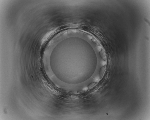 X0000100760149200807171350