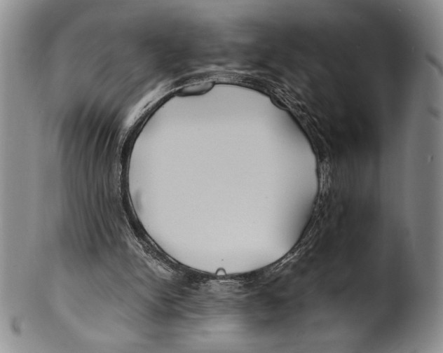 X0000100760150200807171350