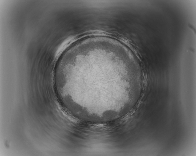 X0000100760151200807171350
