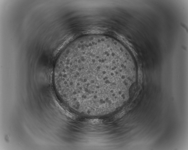 X0000100760153200807171350