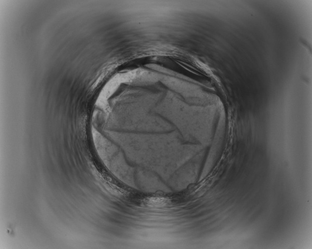 X0000100760154200807171350