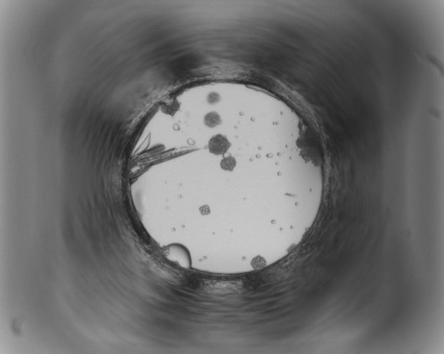 X0000100760155200807171350