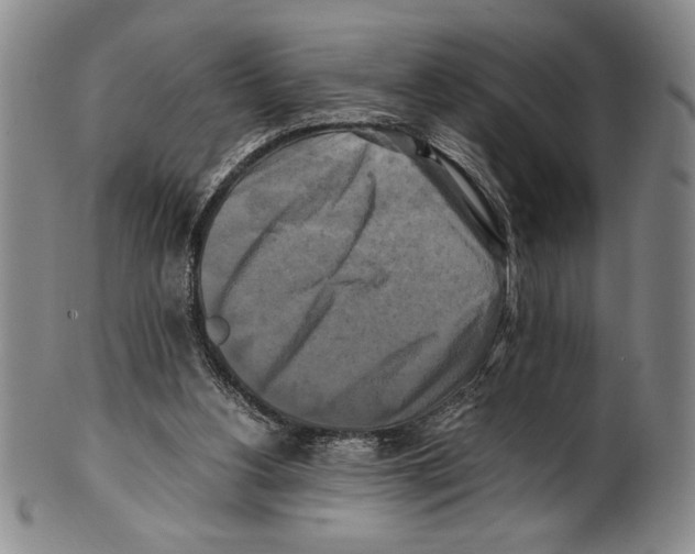X0000100760156200807171350