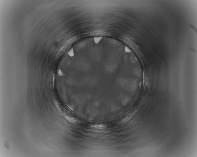 X0000100760157200807171350