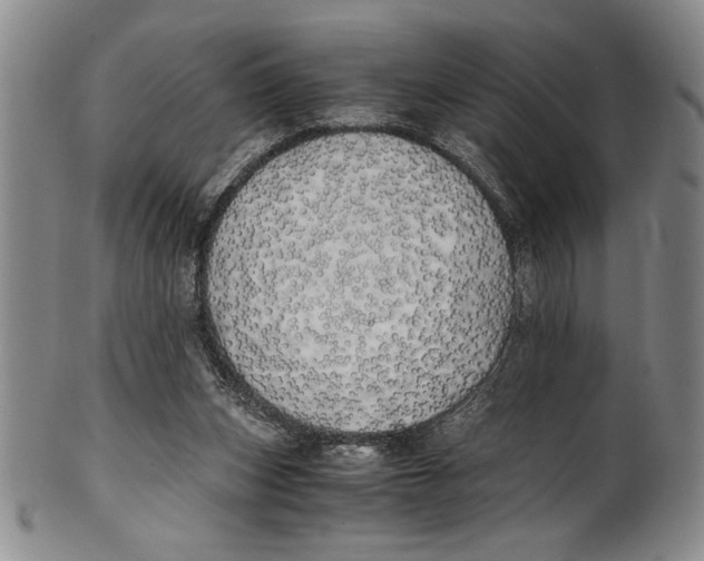 X0000100760159200807171350