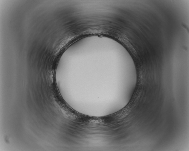 X0000100760160200807171350