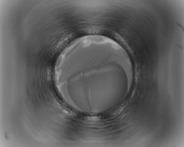 X0000100760161200807171350