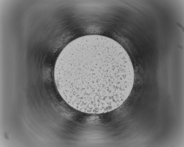 X0000100760162200807171350