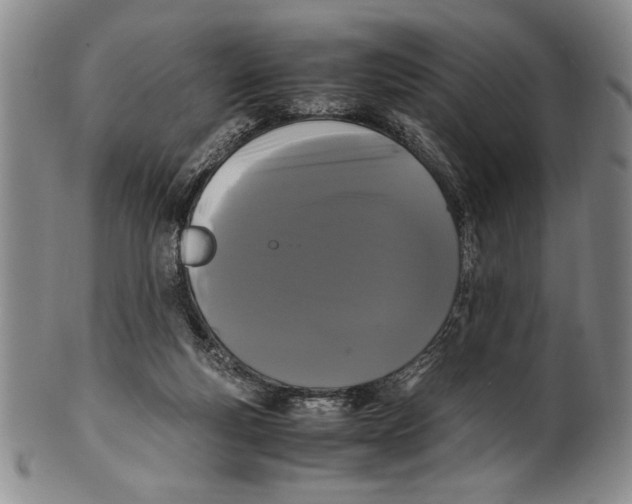 X0000100760163200807171350