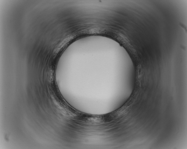 X0000100760164200807171350