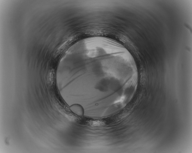X0000100760165200807171350