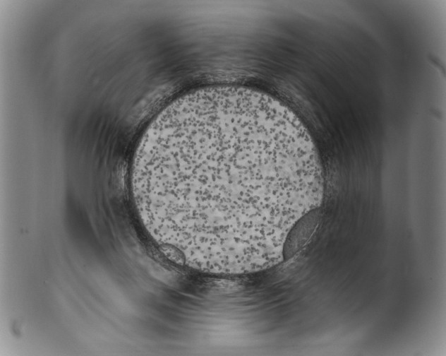 X0000100760166200807171350