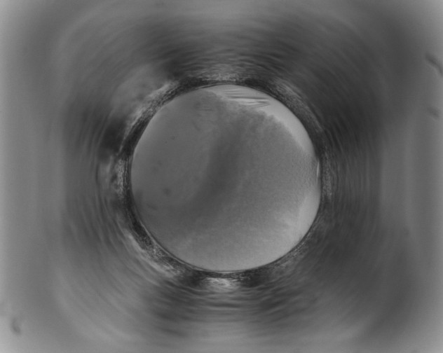 X0000100760167200807171350
