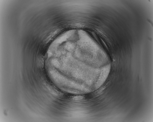 X0000100760168200807171350