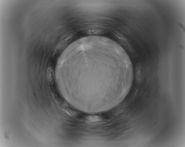 X0000100760169200807171350