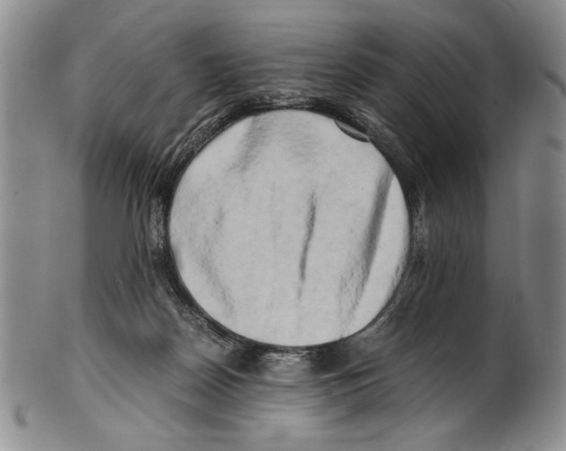 X0000100760170200807171350