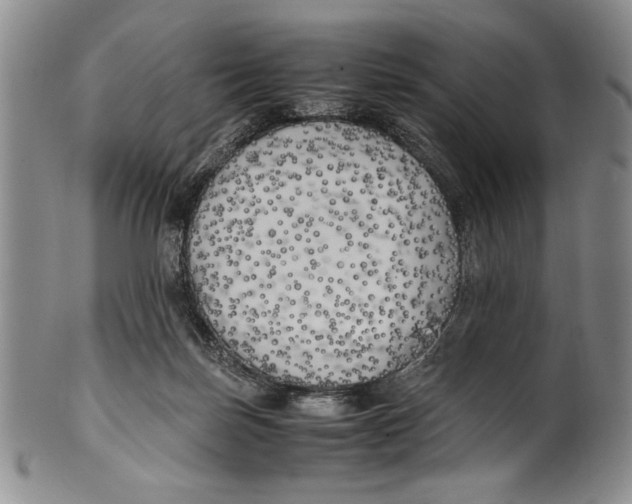 X0000100760171200807171350
