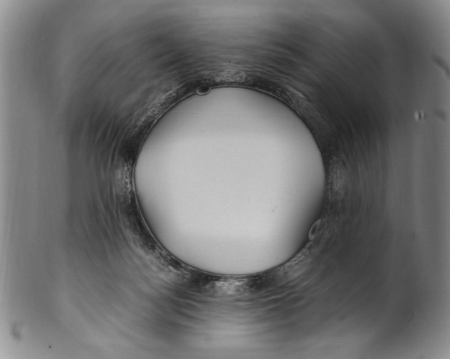 X0000100760172200807171350