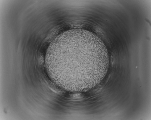 X0000100760173200807171350