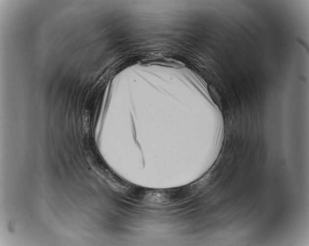 X0000100760174200807171350