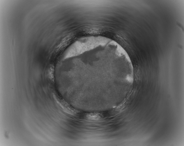 X0000100760175200807171350