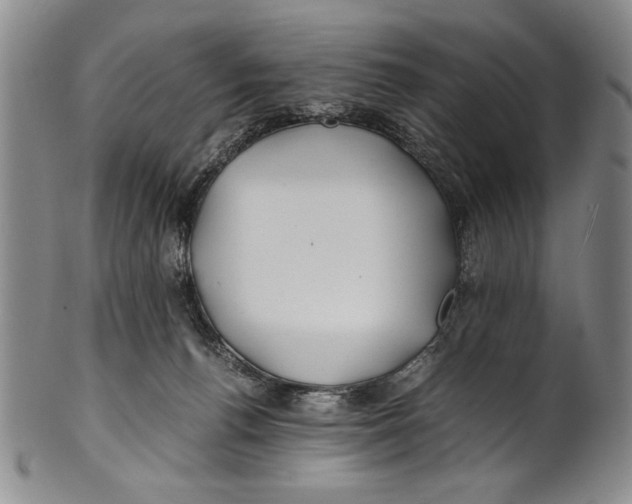 X0000100760176200807171350