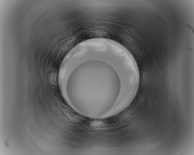 X0000100760177200807171350