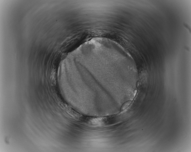 X0000100760178200807171350