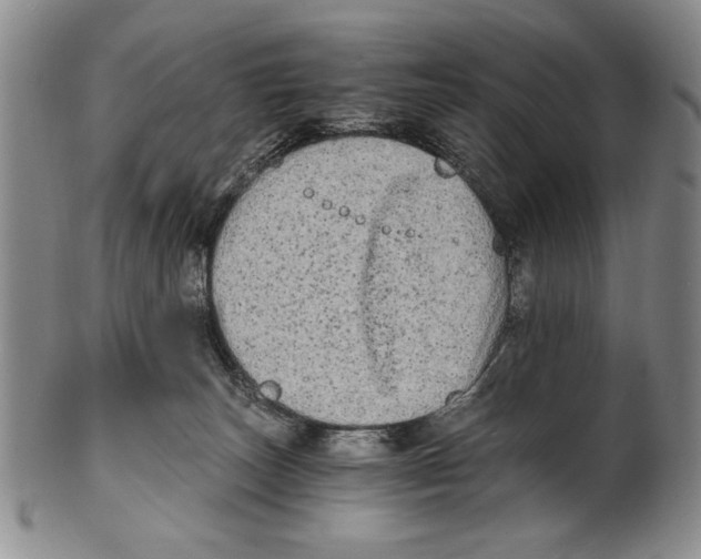 X0000100760179200807171350
