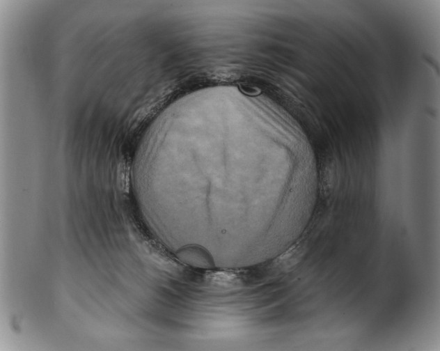 X0000100760180200807171350
