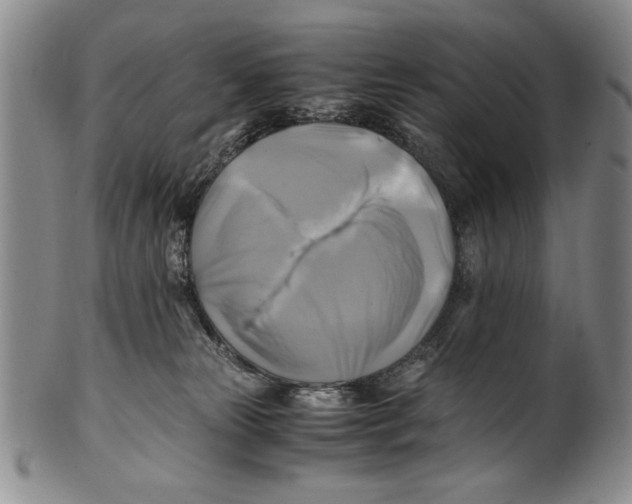 X0000100760181200807171350