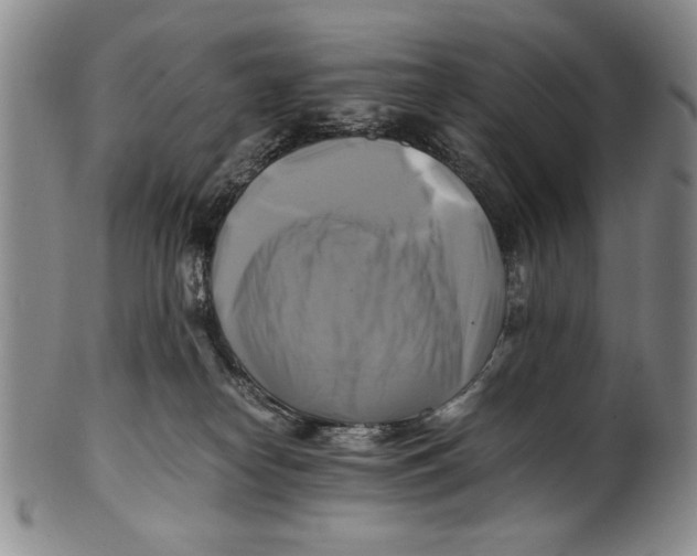 X0000100760182200807171350