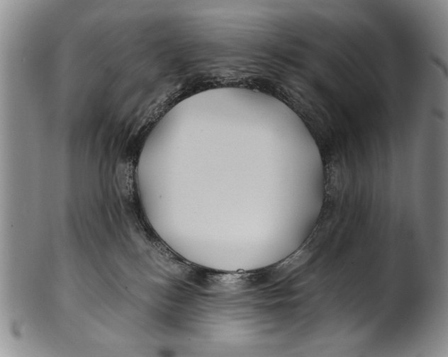 X0000100760184200807171350
