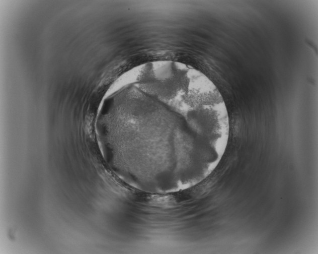 X0000100760185200807171350