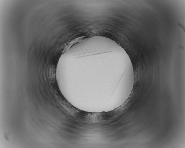 X0000100760186200807171350